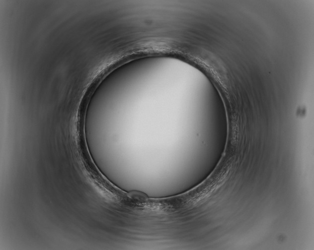 X0000100320439200806121108