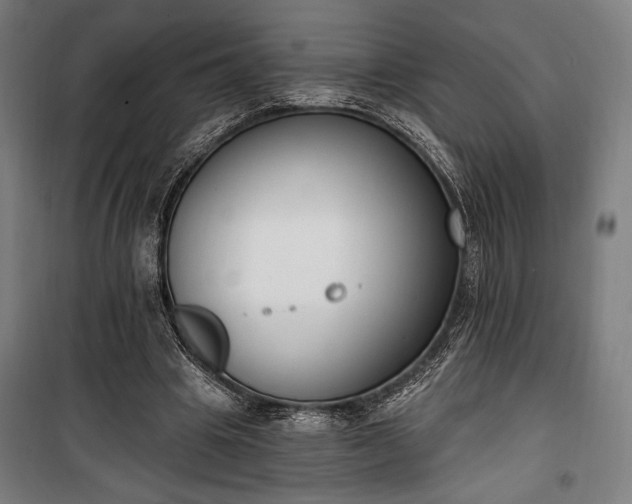 X0000100320441200806121108