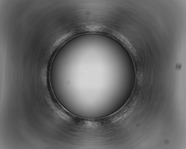 X0000100320442200806121108