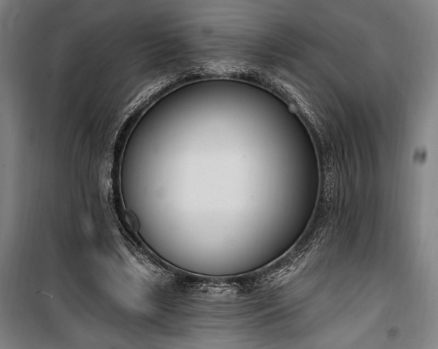 X0000100320443200806121108