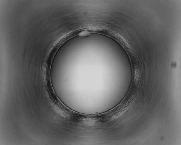 X0000100320444200806121108