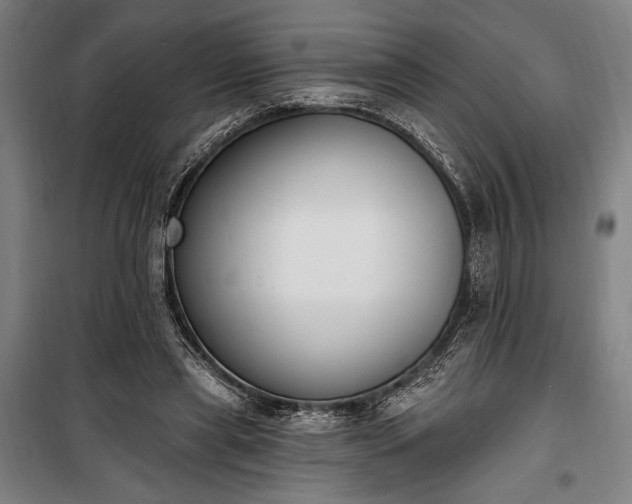 X0000100320445200806121108