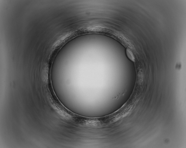 X0000100320446200806121108