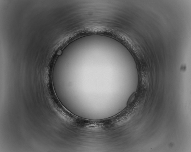 X0000100320447200806121108