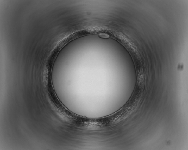 X0000100320448200806121108