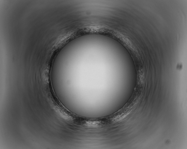 X0000100320450200806121108