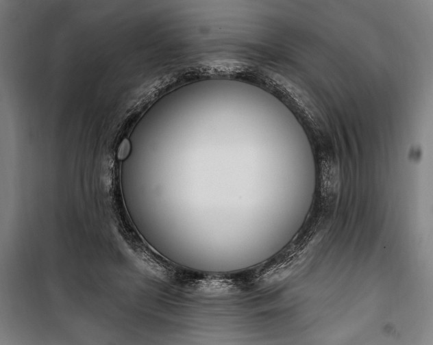 X0000100320451200806121108