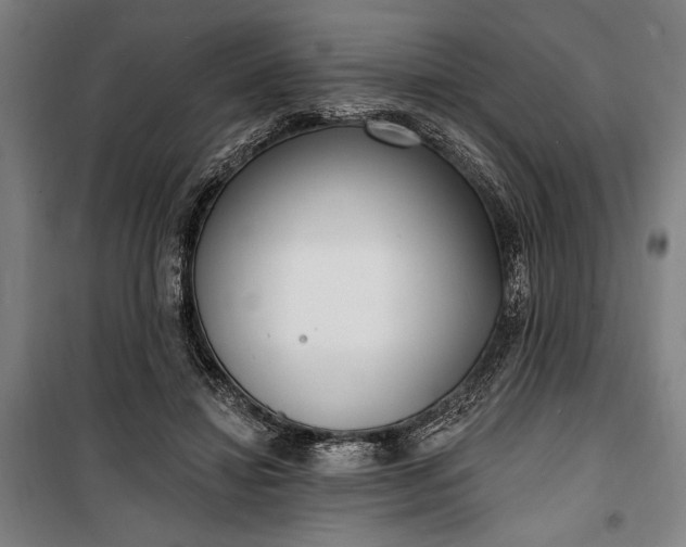 X0000100320452200806121108