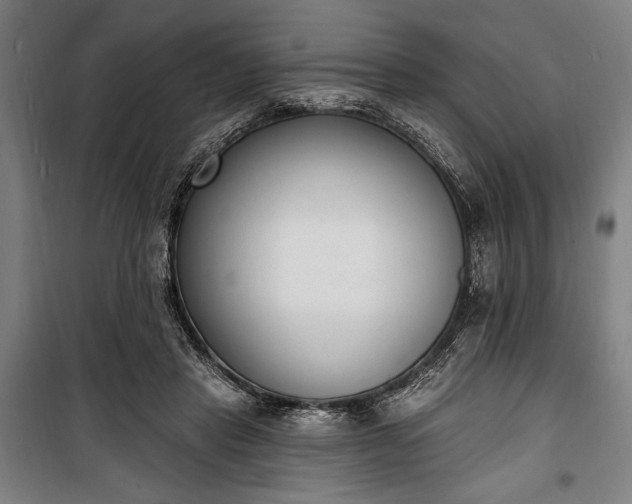 X0000100320453200806121108