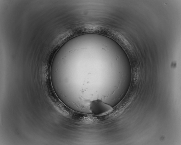 X0000100320455200806121108