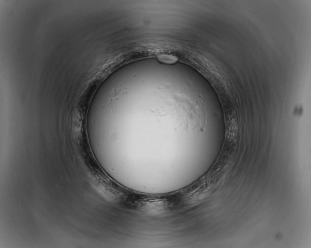 X0000100320456200806121108