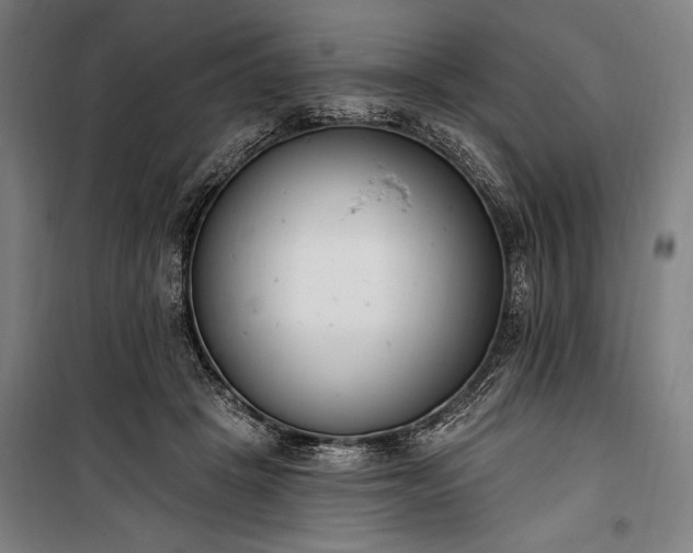 X0000100320457200806121108