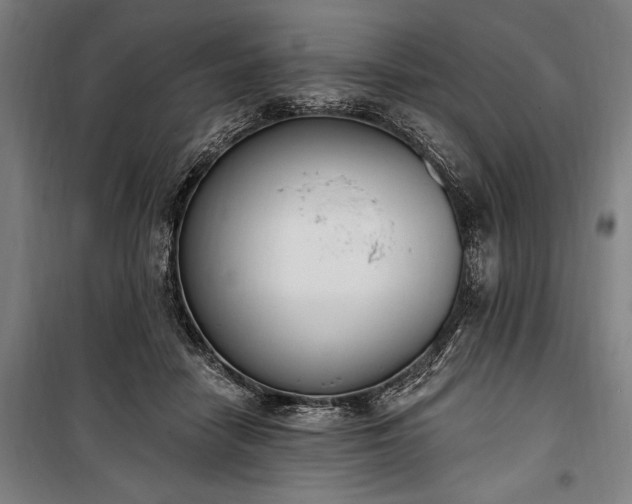 X0000100320458200806121108