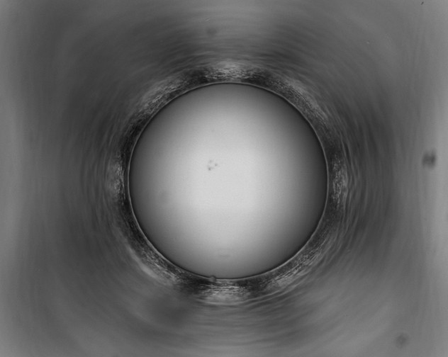 X0000100320459200806121108