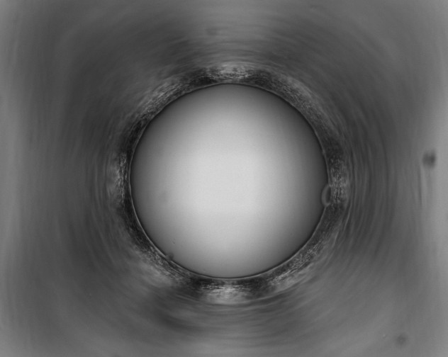 X0000100320460200806121108