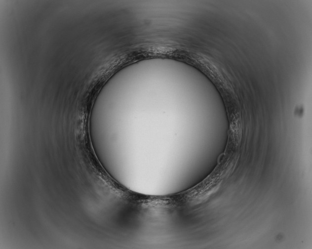 X0000100320462200806121108