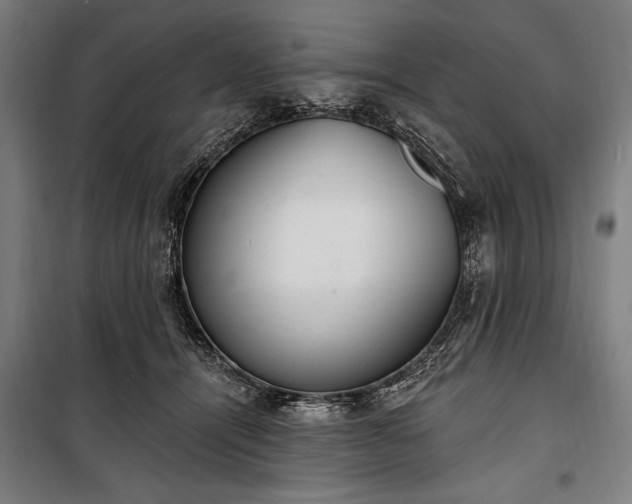 X0000100320464200806121108