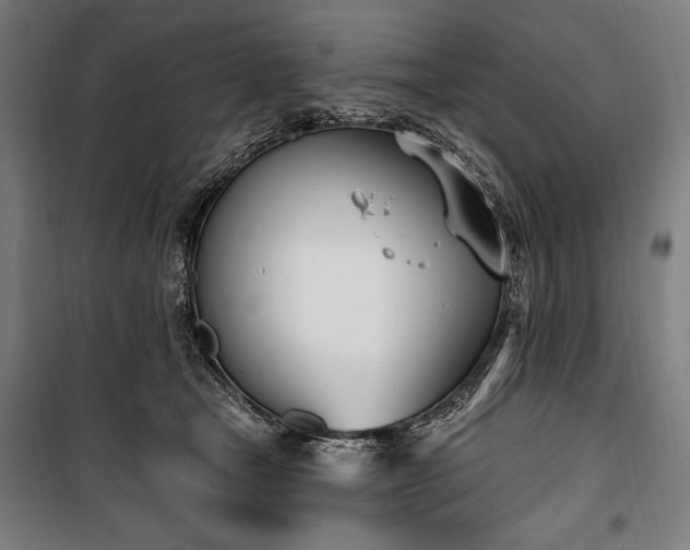 X0000100320465200806121108