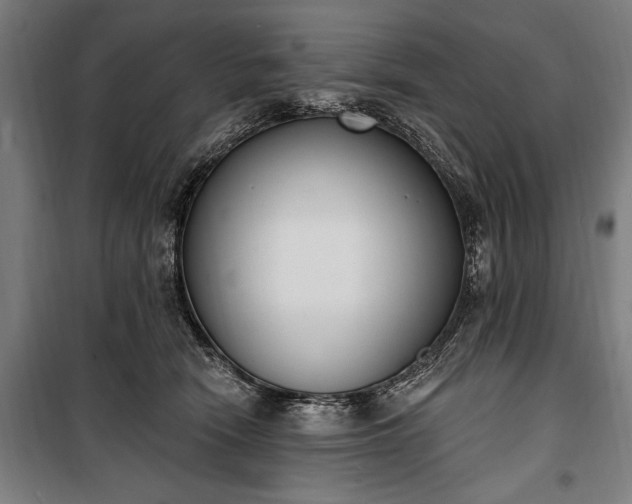 X0000100320466200806121108