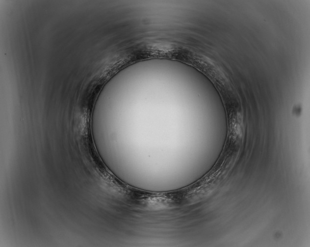 X0000100320468200806121108