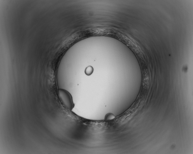 X0000100320469200806121108