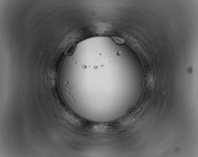 X0000100320470200806121108