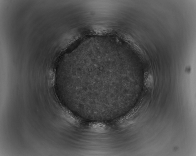 X0000100320471200806121108