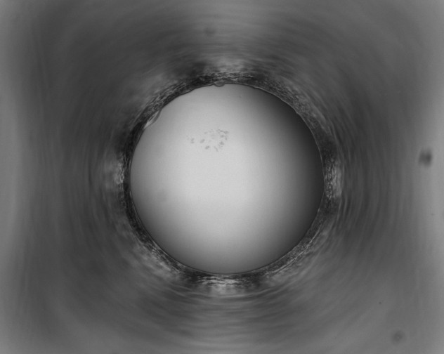 X0000100320472200806121108