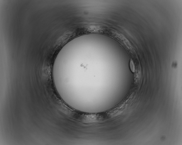 X0000100320473200806121108