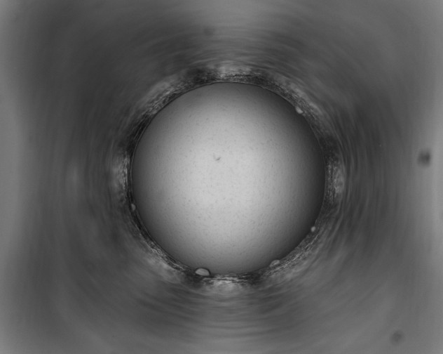 X0000100320475200806121108