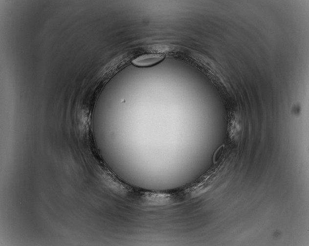 X0000100320476200806121108