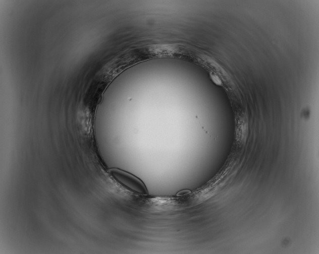 X0000100320477200806121108