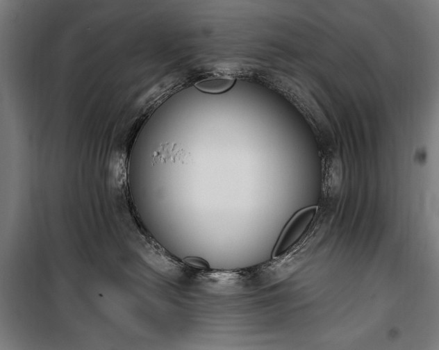 X0000100320478200806121108