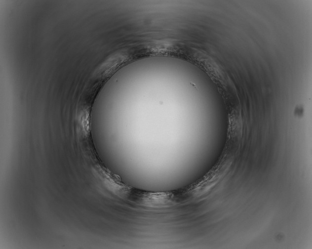 X0000100320479200806121108