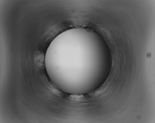 X0000100320480200806121108