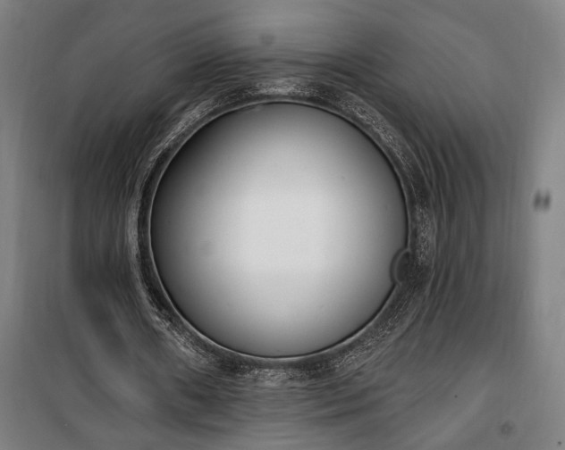 X0000100320482200806121107