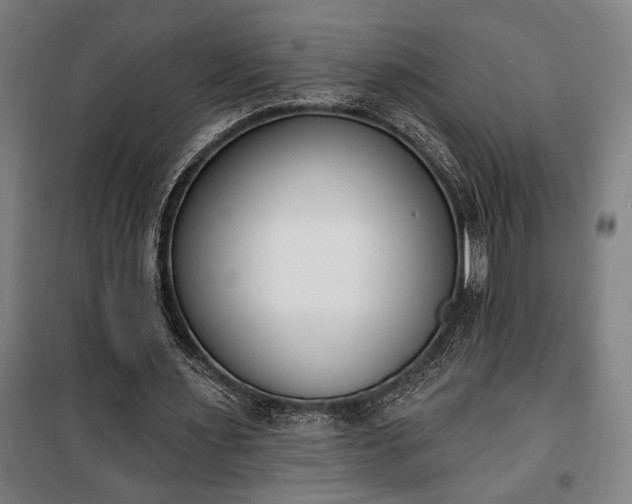 X0000100320483200806121107