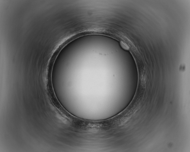 X0000100320484200806121107