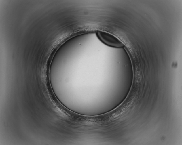 X0000100320485200806121107