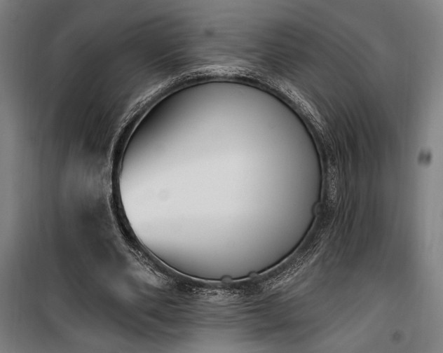 X0000100320486200806121107