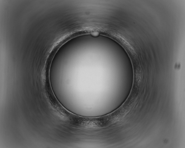 X0000100320488200806121107