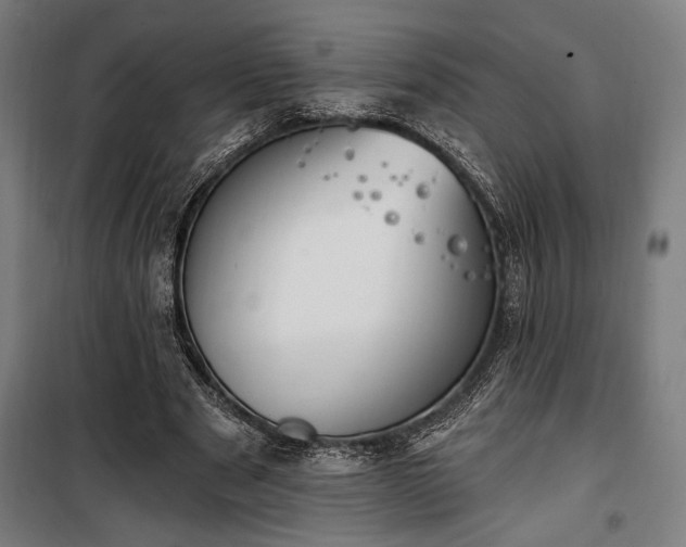 X0000100320489200806121107