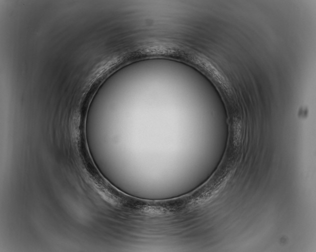 X0000100320490200806121107