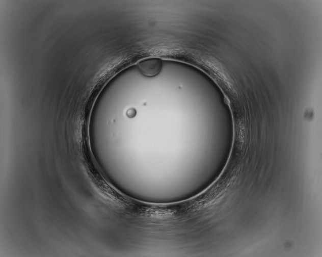 X0000100320491200806121107