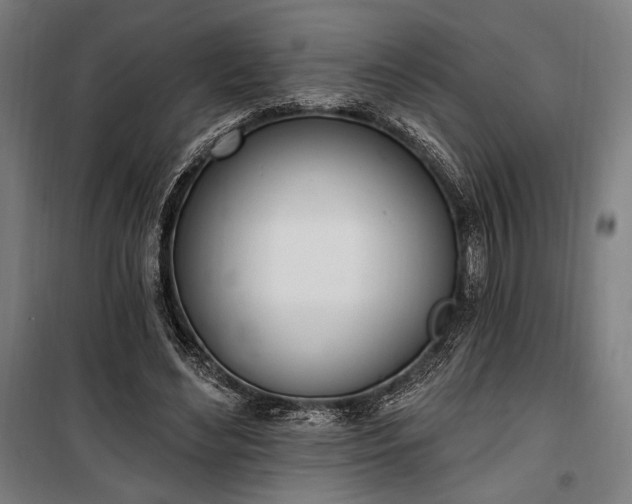 X0000100320492200806121107