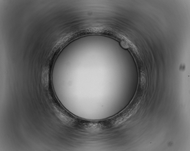 X0000100320493200806121107