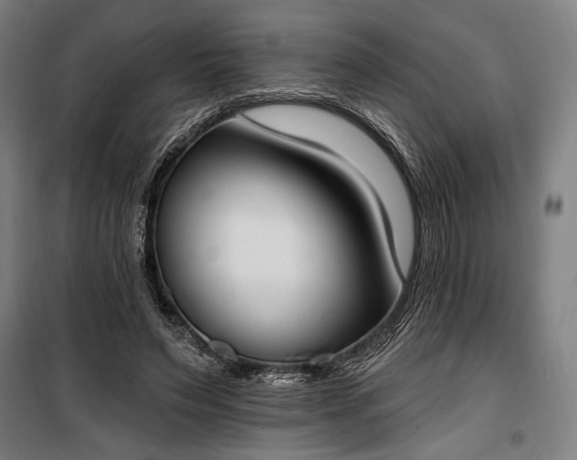 X0000100320495200806121107