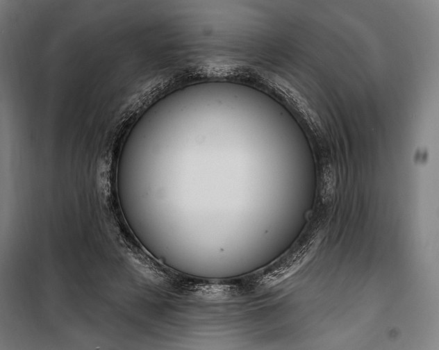 X0000100320497200806121107