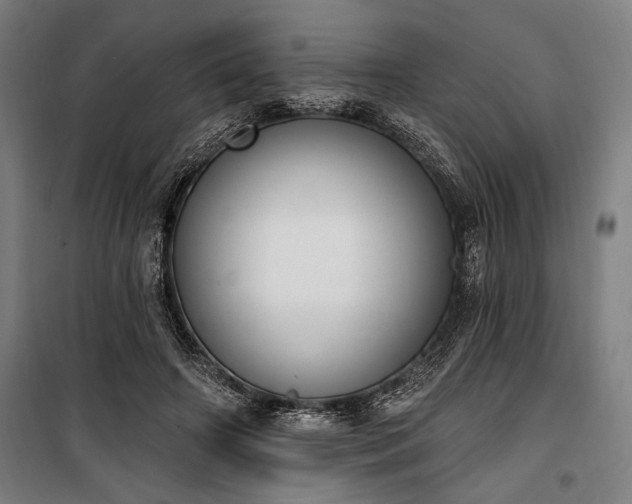 X0000100320498200806121107