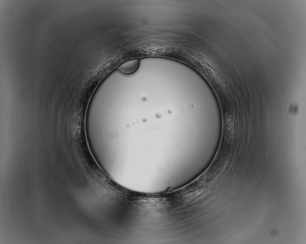 X0000100320499200806121107